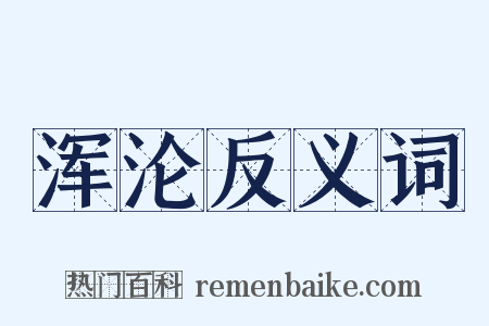 浑沦反义词是什么意思的图片